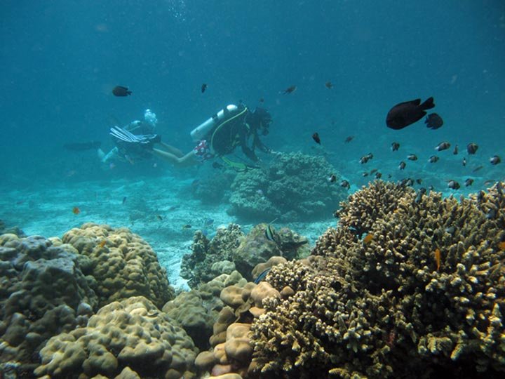 Diving @ Koh Haa Lagoon with Dive & Relax