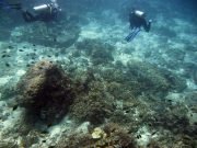 Koh Haa Diving