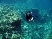 Koh Haa Diving