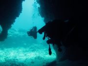 Koh Haa Diving