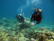 Koh Haa Diving