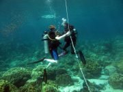 Discover Scuba Diving on Koh Lanta with Dive & Relax