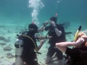 Open Water Diver Course on Koh Lanta with Dive & Relax