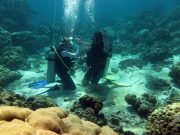 Scuba Skills Refresh on Koh Lanta with Dive & Relax